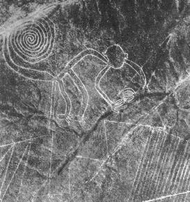 Geoglif majmuna, fotografija Marije Rajhe 1953